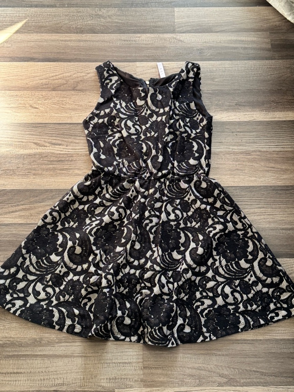 Sleeveless Lace Overlay Fit-and-Flare Mini Dress in Black and Cream